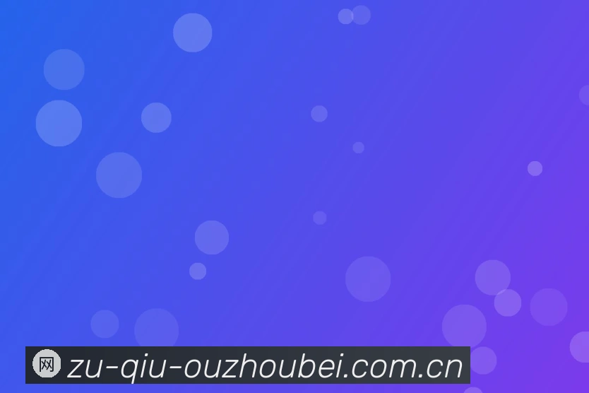 关于欧洲杯足球锦标赛